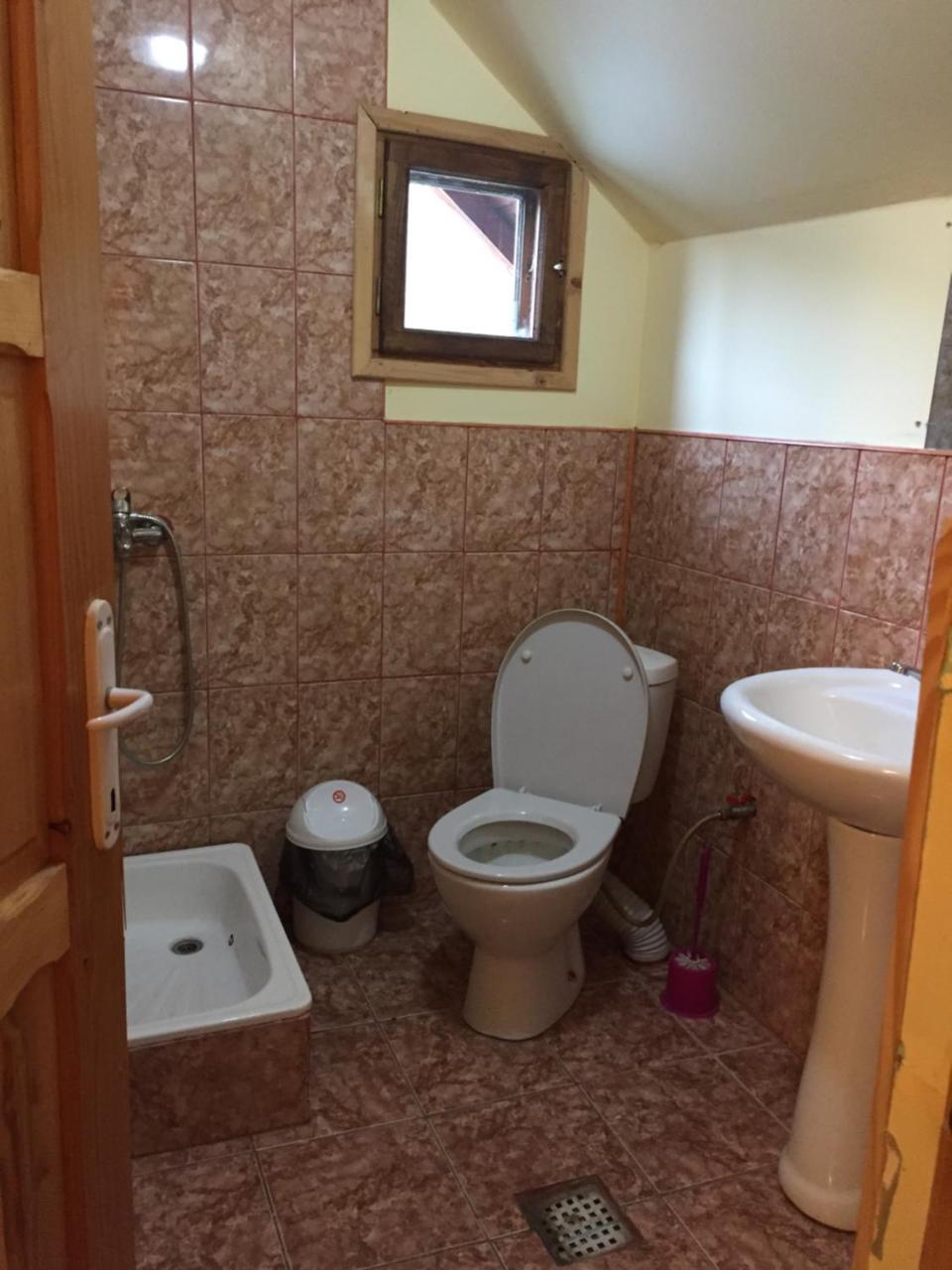 Hotel Casa Parvu à Lunca Mare Extérieur photo