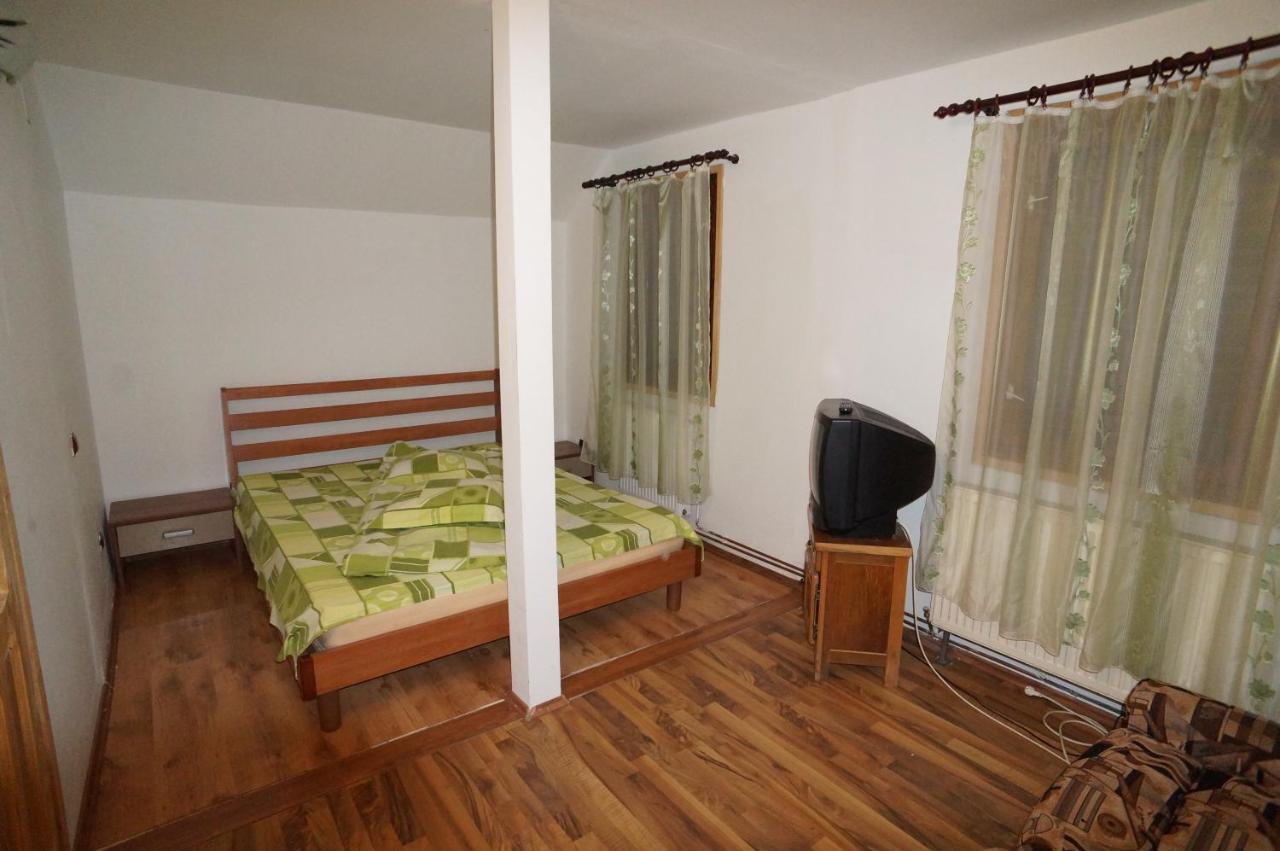 Hotel Casa Parvu à Lunca Mare Extérieur photo