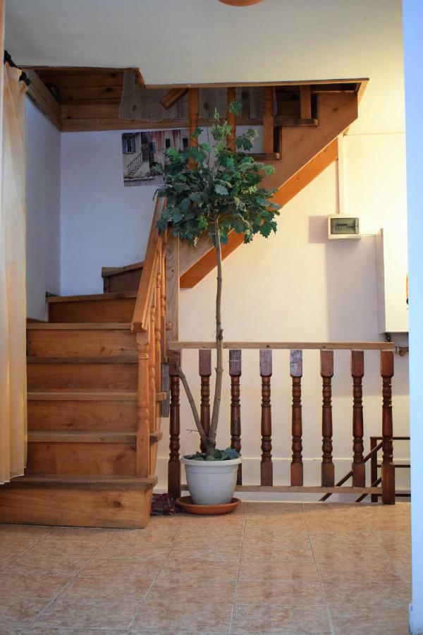 Hotel Casa Parvu à Lunca Mare Extérieur photo