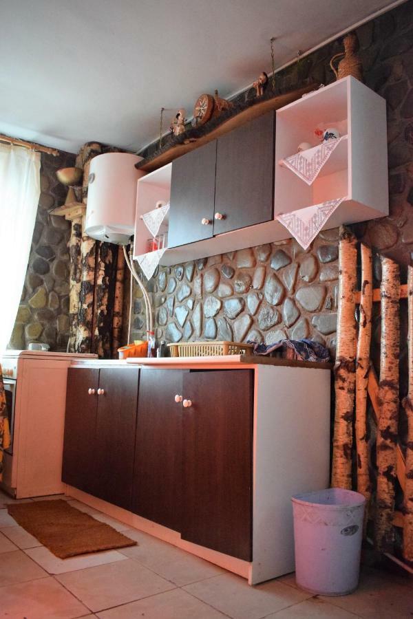 Hotel Casa Parvu à Lunca Mare Extérieur photo
