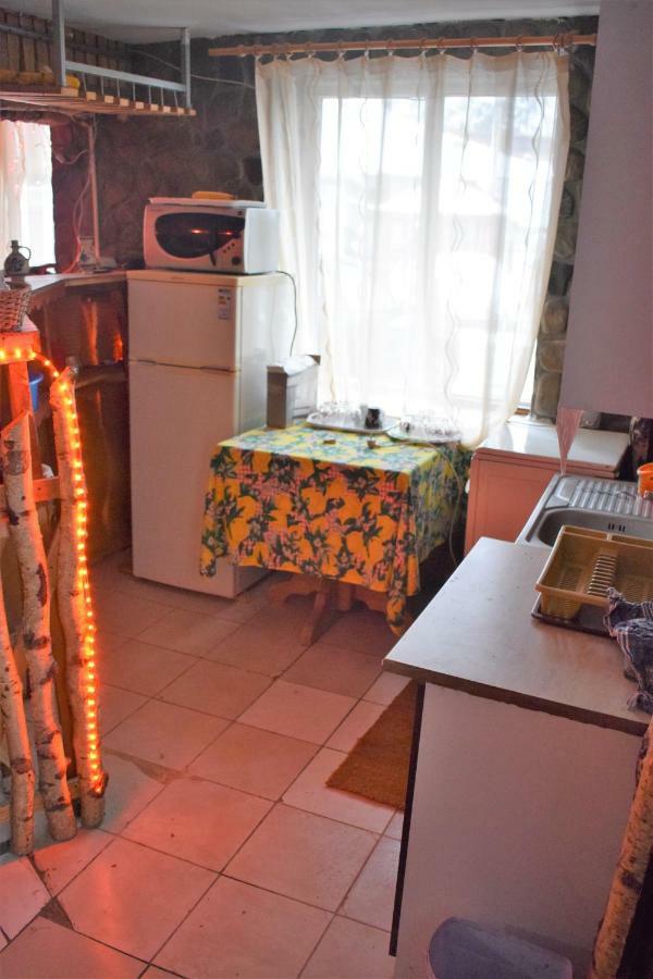 Hotel Casa Parvu à Lunca Mare Extérieur photo