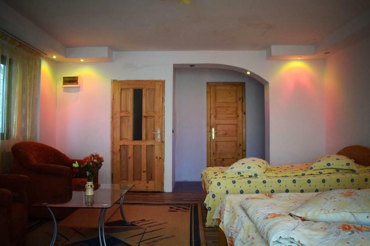Hotel Casa Parvu à Lunca Mare Extérieur photo