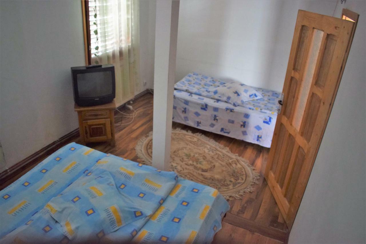 Hotel Casa Parvu à Lunca Mare Extérieur photo