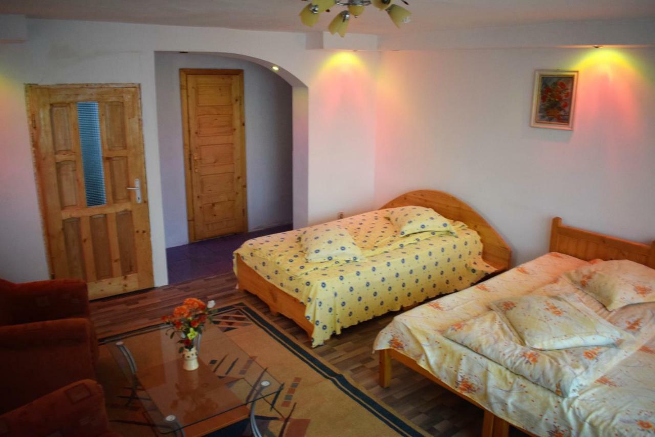 Hotel Casa Parvu à Lunca Mare Extérieur photo