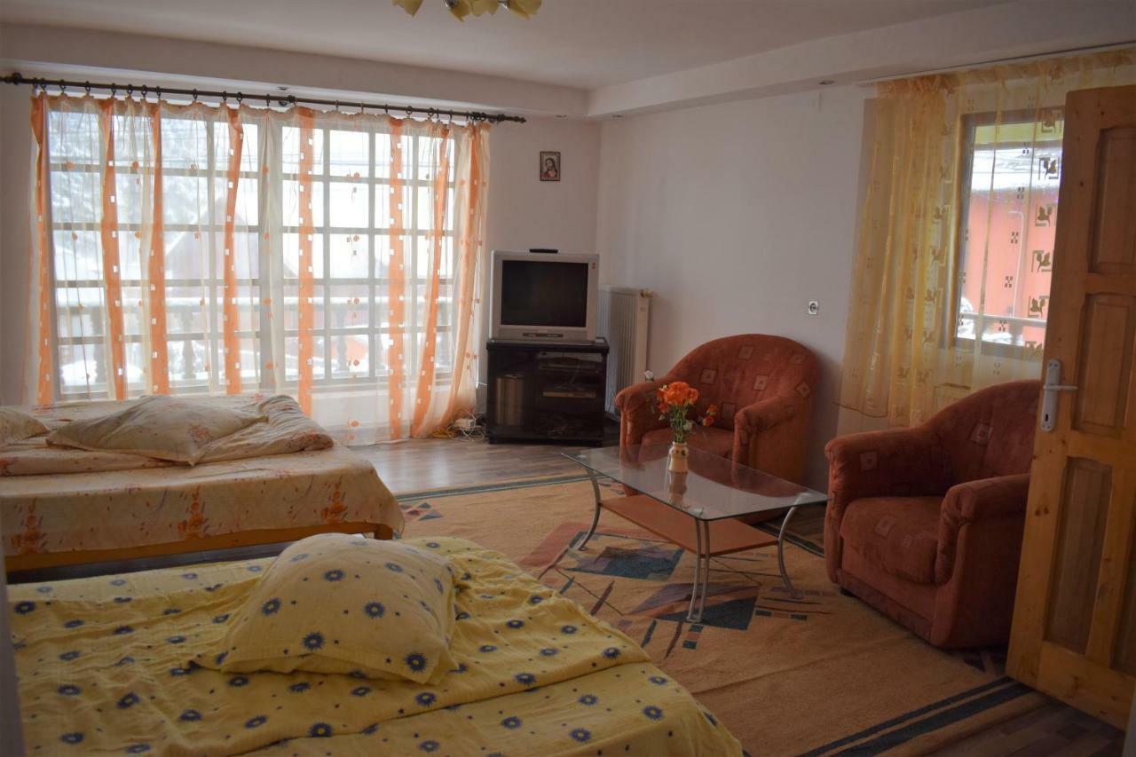 Hotel Casa Parvu à Lunca Mare Extérieur photo
